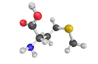 Methionine