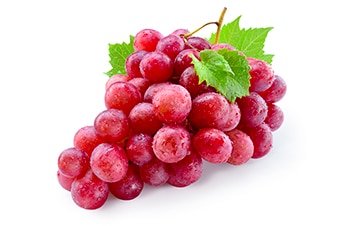 Vigne rouge